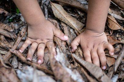 Child's hands on ground in bark
