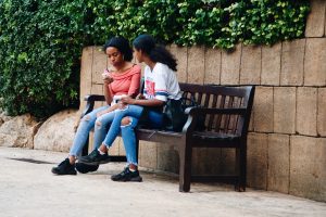 Bullying of students in school damages them.