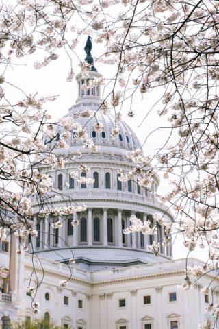 Picture of the Capital building